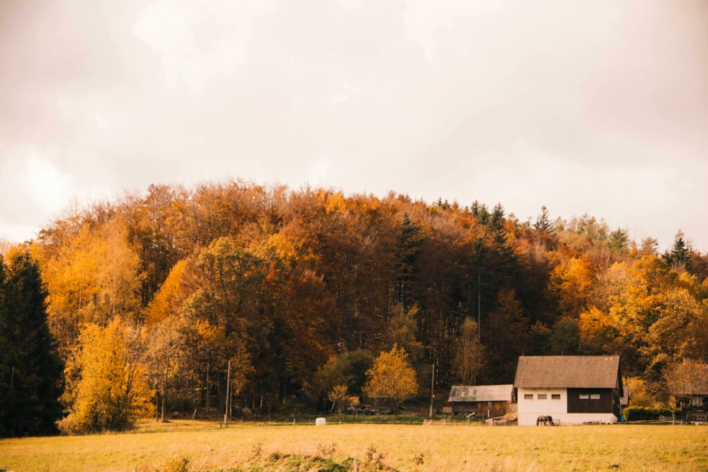 Podzim na zahradě